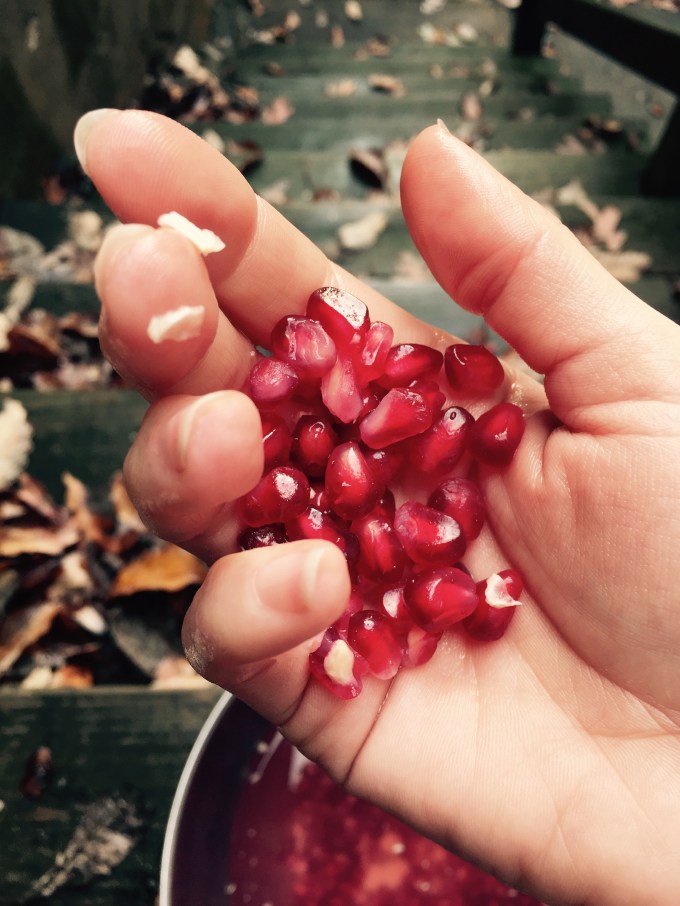 pomegranate4